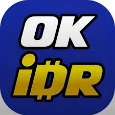 OKIDR - Pertempuran Terakhir di Dunia Battle Royale